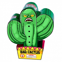 Winda Bad Cactus